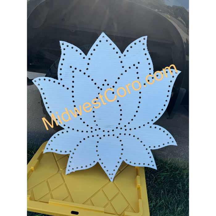 Lotus Flower