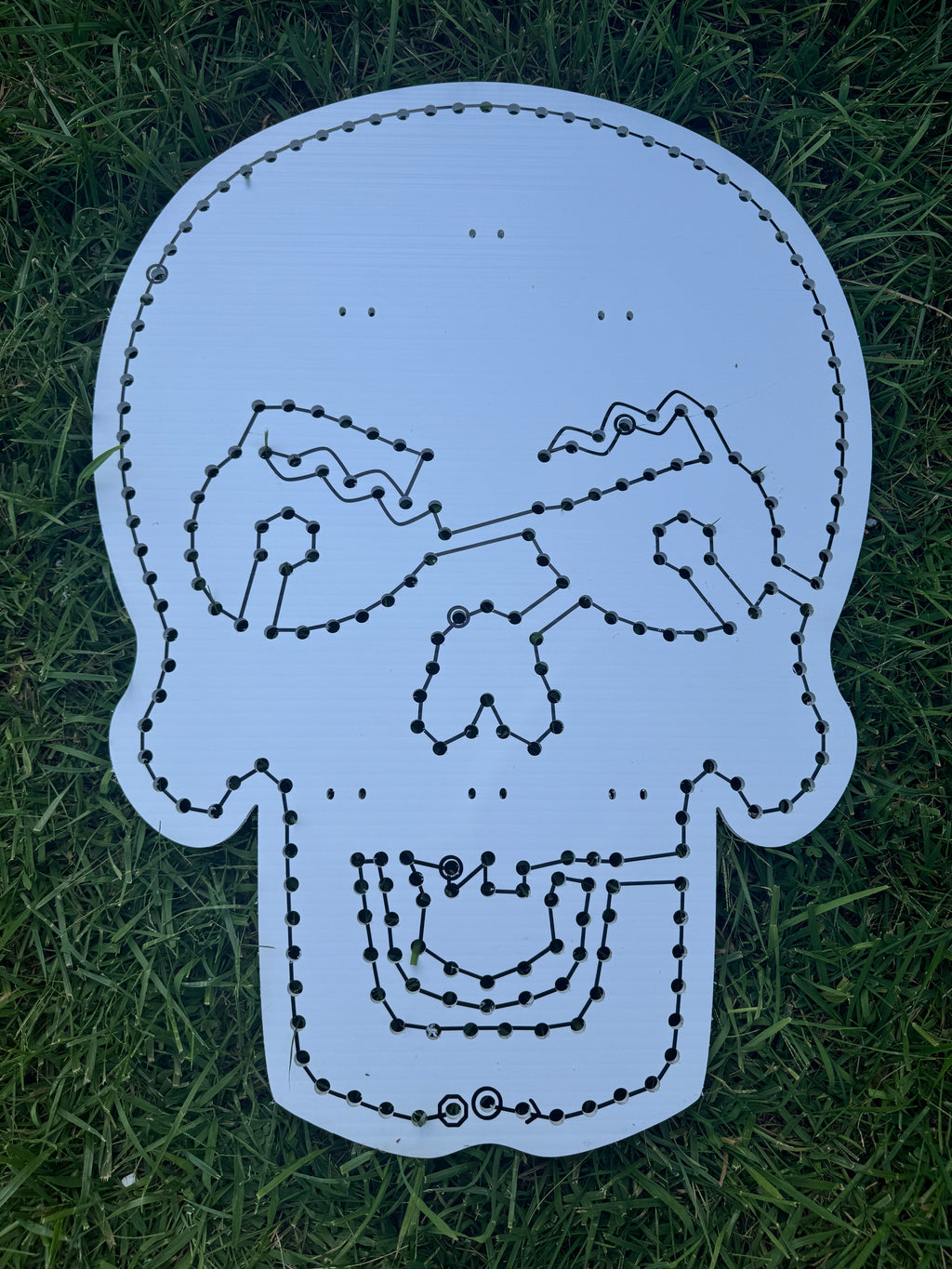 Skull Heads