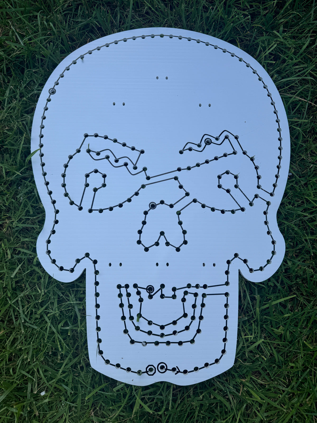 Skull Heads