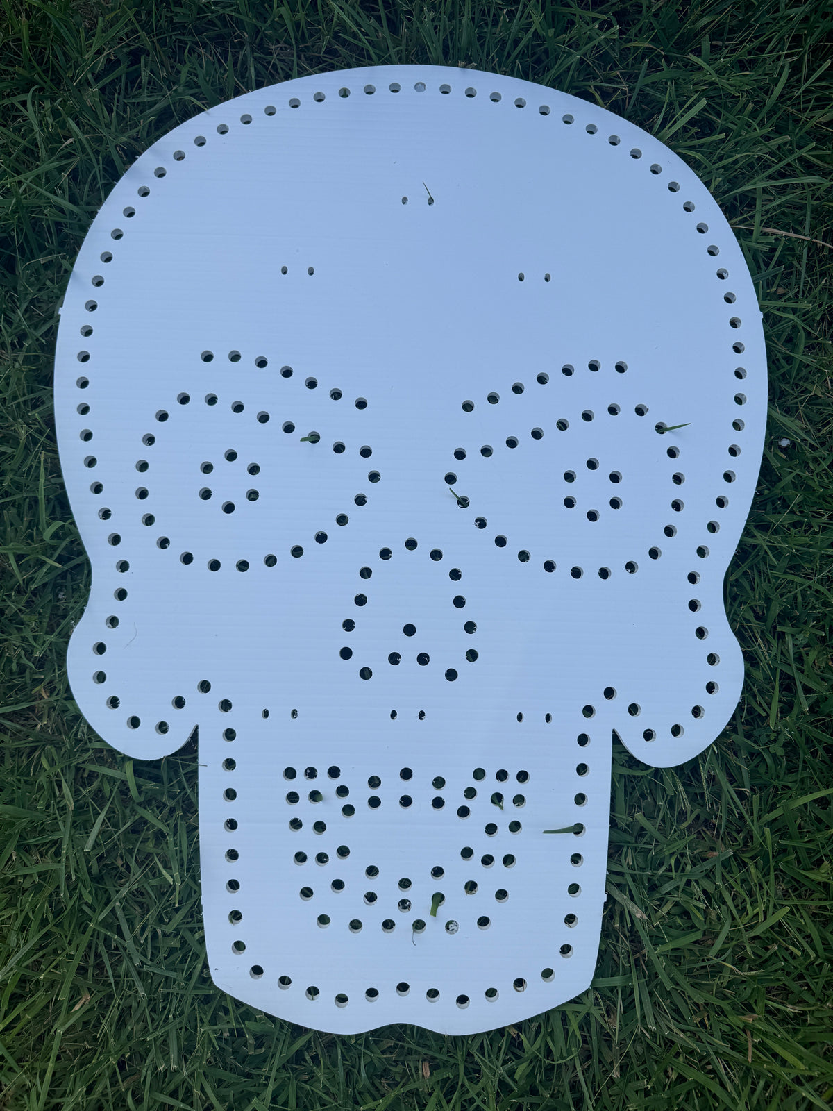 Skull Heads